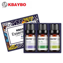 Load image into Gallery viewer, Essential Oils For Aroma Diffuser
