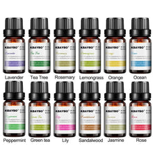 Load image into Gallery viewer, Essential Oils For Aroma Diffuser
