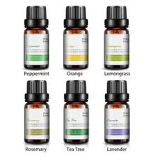 Load image into Gallery viewer, Essential Oils For Aroma Diffuser
